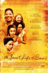 secret life of the bees.jpg